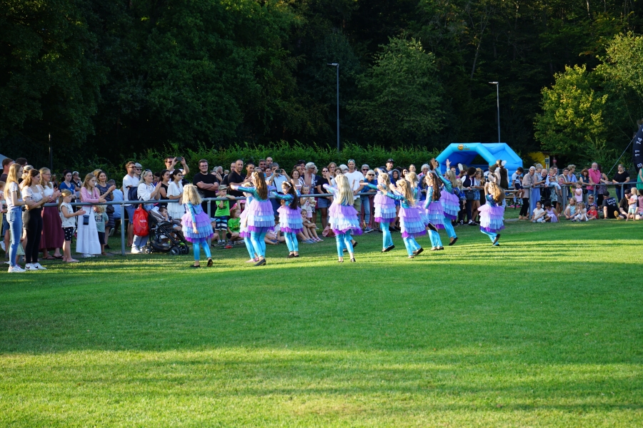 dsc00910